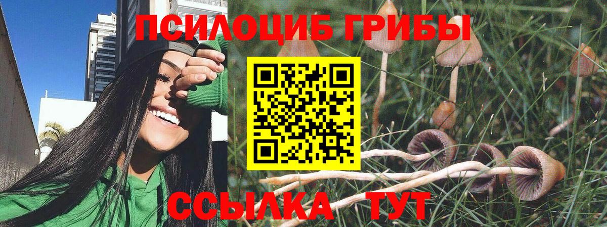 Шали  Галлюциногенные грибы мухоморы  Вход с VPN 